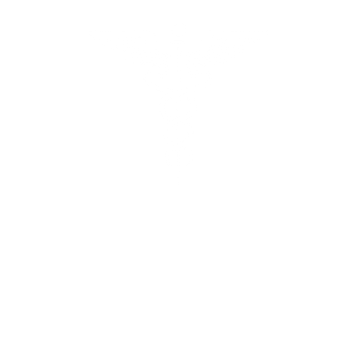 Logo CSK